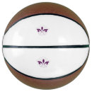 Search for decorative basketballs Sports