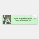 Search for fox bumper stickers Puppy