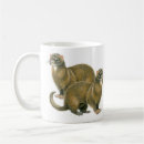 Search for ferret mugs Polecat