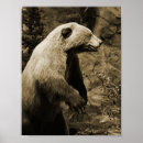 Search for hunting hunter posters Wildlife