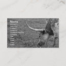 Search for longhorn business cards Cow