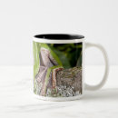 Search for vertebrate mugs David northcott