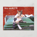 Search for stray horizontal postcards Cat
