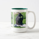 Search for chimp photography Animals