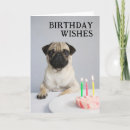 Search for funny pug birthday cards Animal
