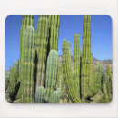 Search for pipe mouse mats Scenic