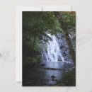 Search for hidden photography Trees