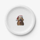 Search for golden retriever christmas plates Wolf