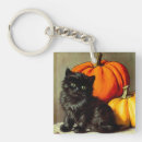 Search for kitten pumpkin key rings Cute