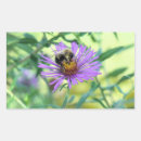 Search for purple daisy stickers Yellow