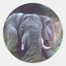 Search for large mammal stickers Elephant