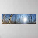 Search for columbus art Scenic