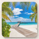 Search for asia barware Island