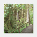 Search for railing magnets Green
