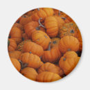 Search for fall holiday magnets Pumpkins