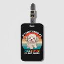 Search for maltipoo accessories Canine