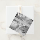 Search for calla photography Elegant