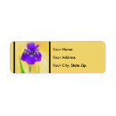 Search for bearded iris cards invites Garden