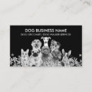 Search for cute pet Grooming