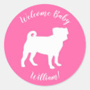 Search for pug puppy stickers Baby