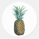 Search for watercolor pineapple stickers Yellow