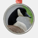 Search for canadian goose christmas tree decorations Canada