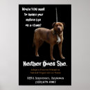 Search for animal rescue posters Dog