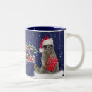 Search for bandit mugs Racoon