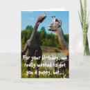 Search for collie birthday cards Humour