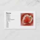 Search for congratulation business cards Anniversaries