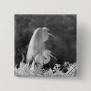 Search for alba badges Bird