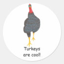 Search for turkeys are cool stickers Thanksgiving
