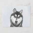 Search for husky dogs postcards Siberian