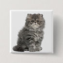 Search for old square badges Cute