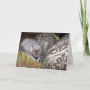 Search for rat birthday cards Pet