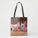 Search for piglet bags Baby pig