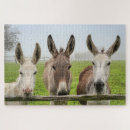 Search for donkey puzzles Rural