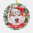 Search for husky christmas tree decorations Watercolor