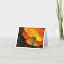 Search for dream note cards Sunset