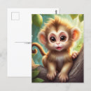 Search for monkey baby postcards Jungle