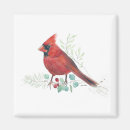 Search for red cardinal magnets Wildlife