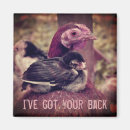 Search for funny chicks Hen