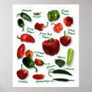 Search for red hot chili peppers posters Spicy