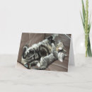 Search for cat hug cards Kitten