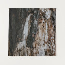 Search for trunk art Plant