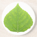 Search for green leaf coasters Summer