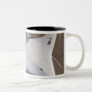 Search for high wing mugs Aeronautics
