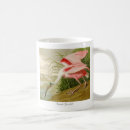 Search for spoonbill mugs John james audubon