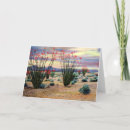 Search for ocotillo Coachwhip