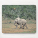 Search for behaviour mouse mats Park